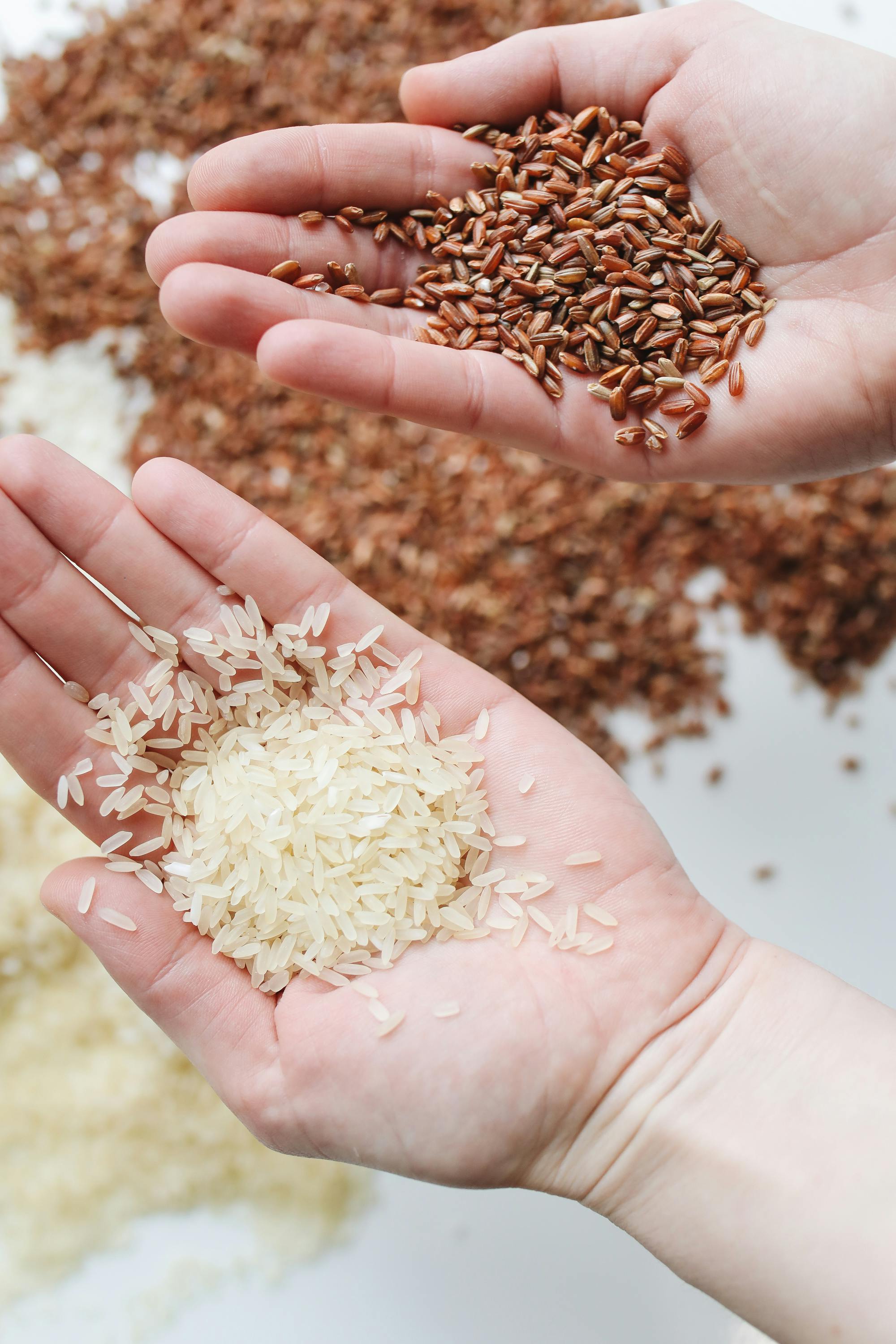 Quy trình kiểm định chất lượng gạo đạt chuẩn xuất khẩu quốc tế